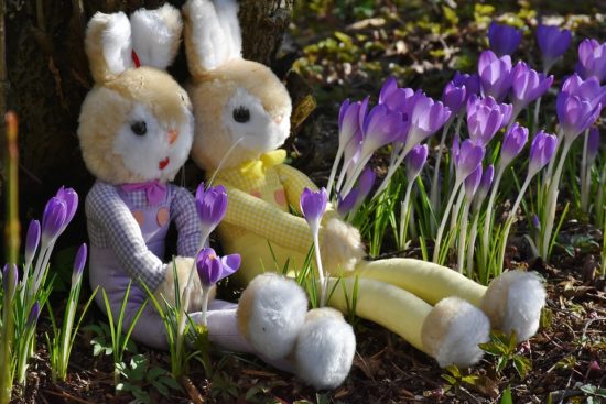 Is the Easter Bunny a boy or a girl?